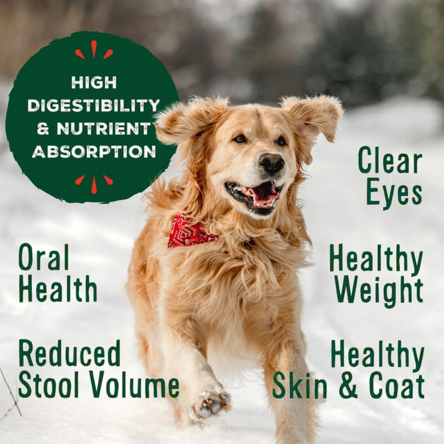 Primal Freeze-Dried Raw Dog Food Nuggets, Pork – Complete & Balanced Meal, Topper or Treat, Grain Free, High Protein (14 oz, 2-Pack)