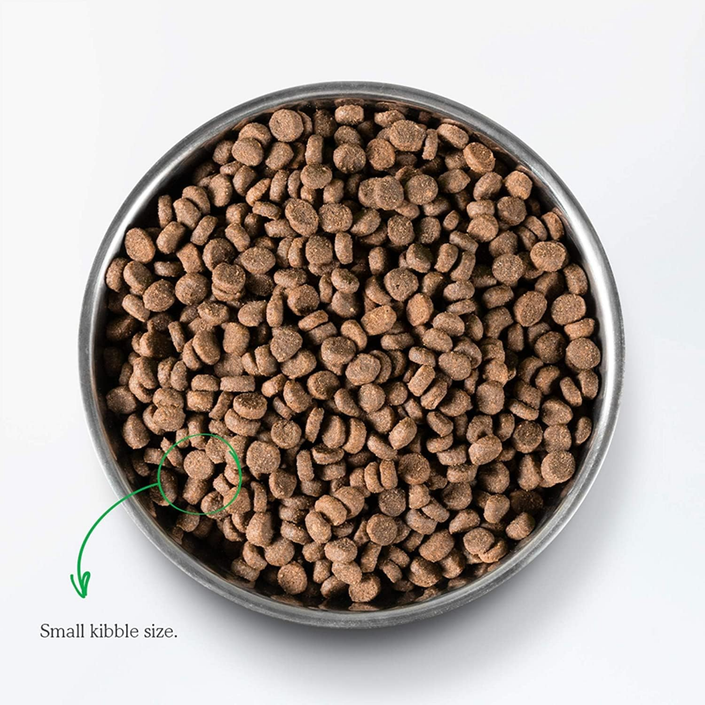 Open Farm Catch-of-The-Season Whitefish Grain-Free Dry Cat Food, 2 lbs | Wild-Caught Fish & Non-GMO Superfoods