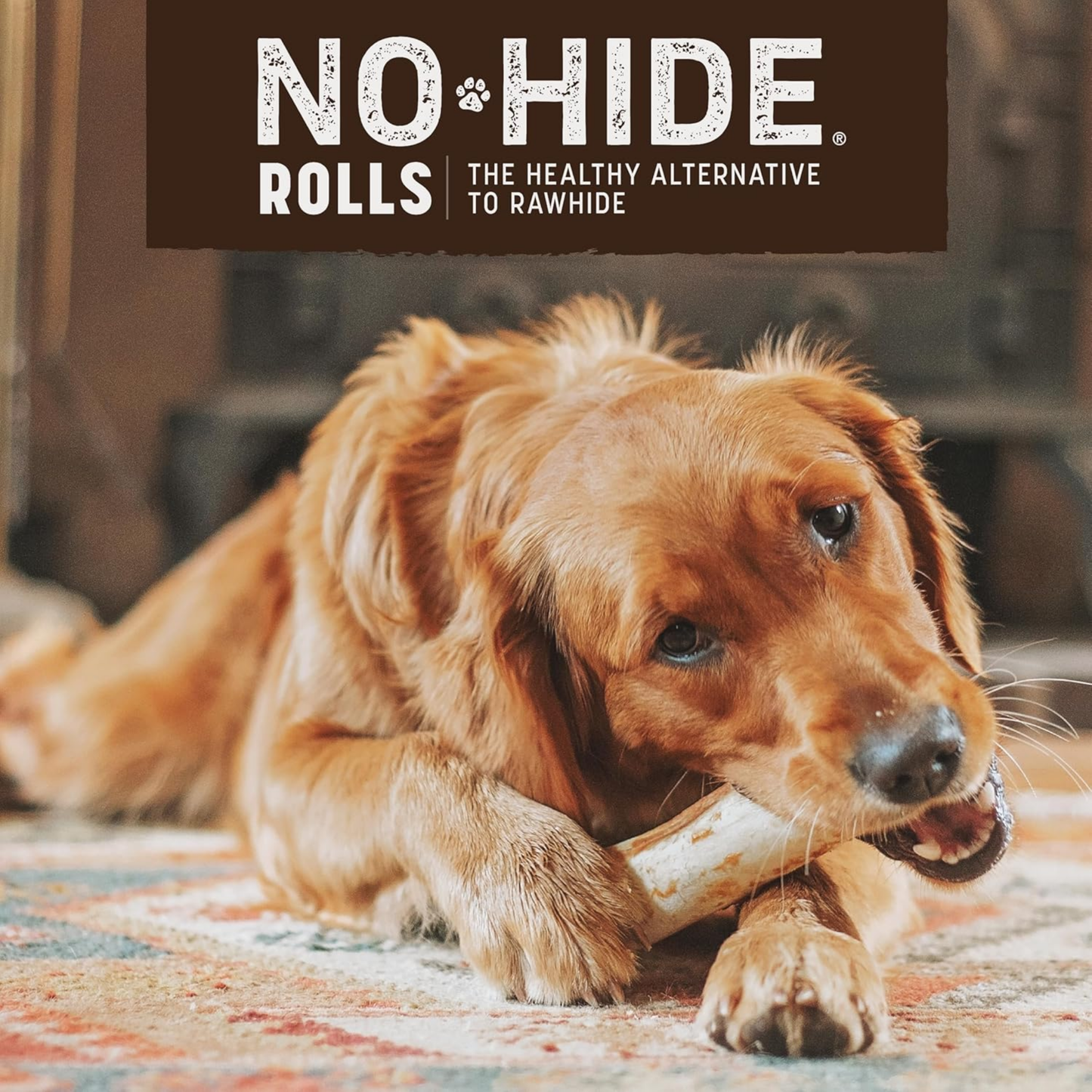 Earth Animal No-Hide Medium Salmon Chews – Rawhide-Free Long-Lasting Dog Treats for Aggressive Chewers, 4.2 oz