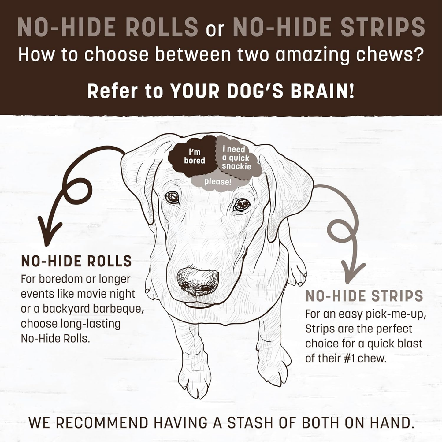 Earth Animal No-Hide Medium Salmon Chews – Rawhide-Free Long-Lasting Dog Treats for Aggressive Chewers, 4.2 oz