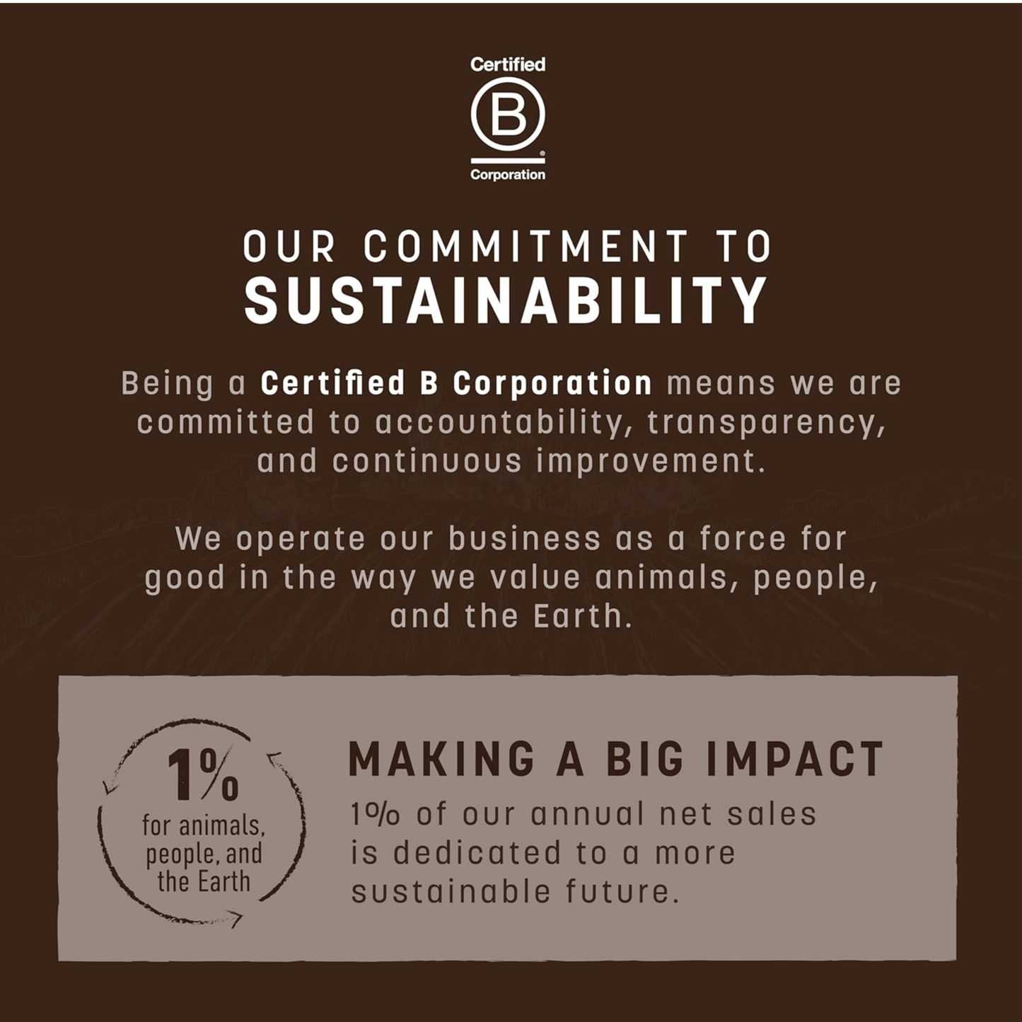 Earth Animal No-Hide Stix Dog Chews – Beef Flavor, 1.6 oz, Rawhide-Free, Long-Lasting Treats for Small Dogs & Cats