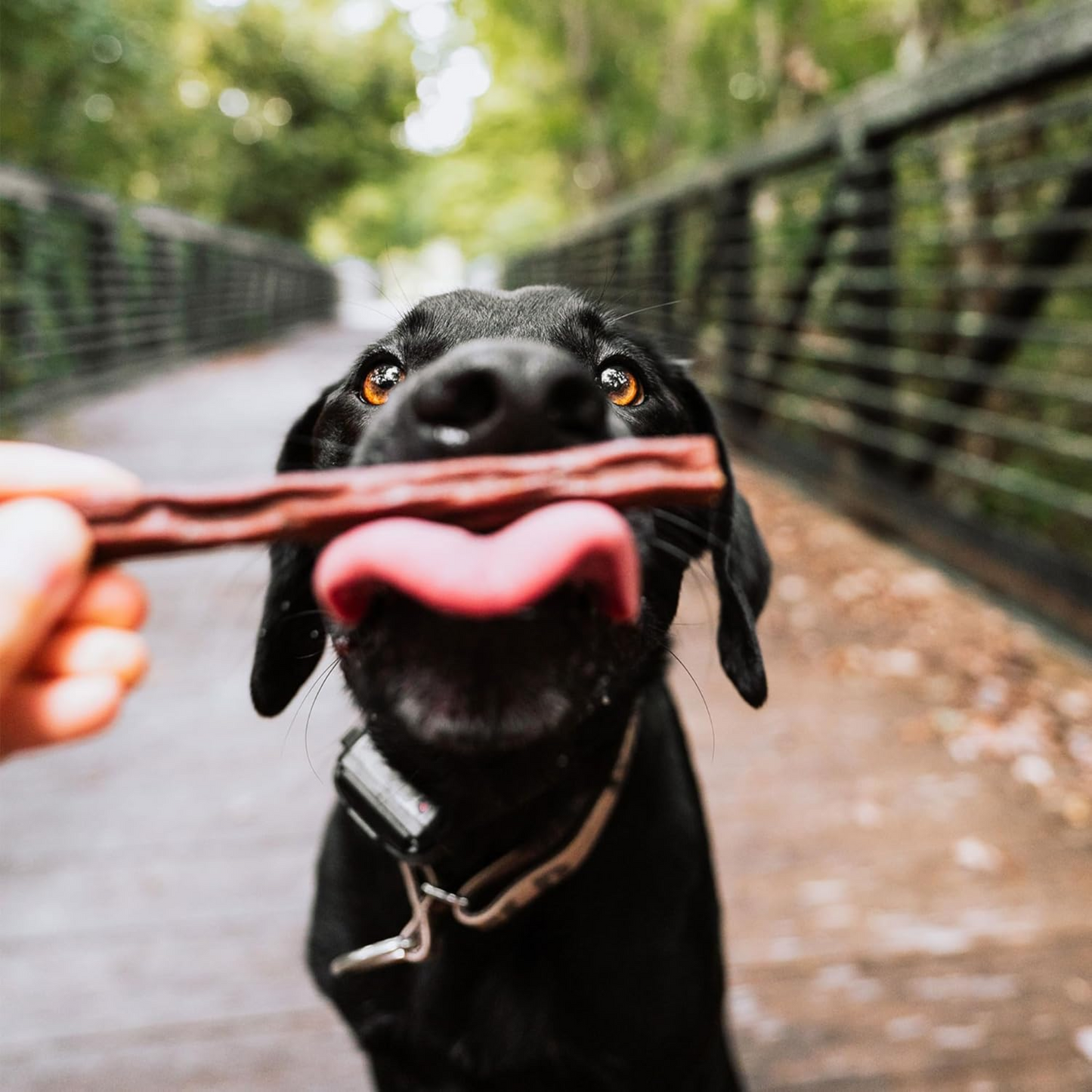 Happy Howie’s Woof Stix – Slow-Cooked Beef Dog Treat, Natural & Chewy, Hormone-Free – 1 Pack