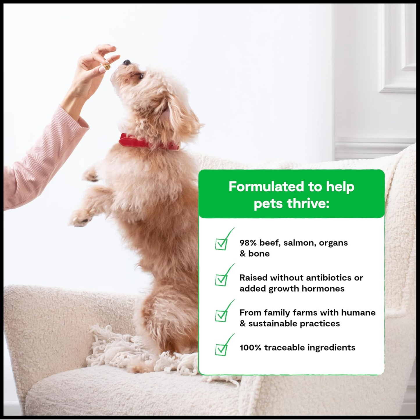 Open Farm Freeze-Dried Raw Dog Food – Surf & Turf Recipe, 13.5 oz | Humanely Raised Meat & Non-GMO Superfoods