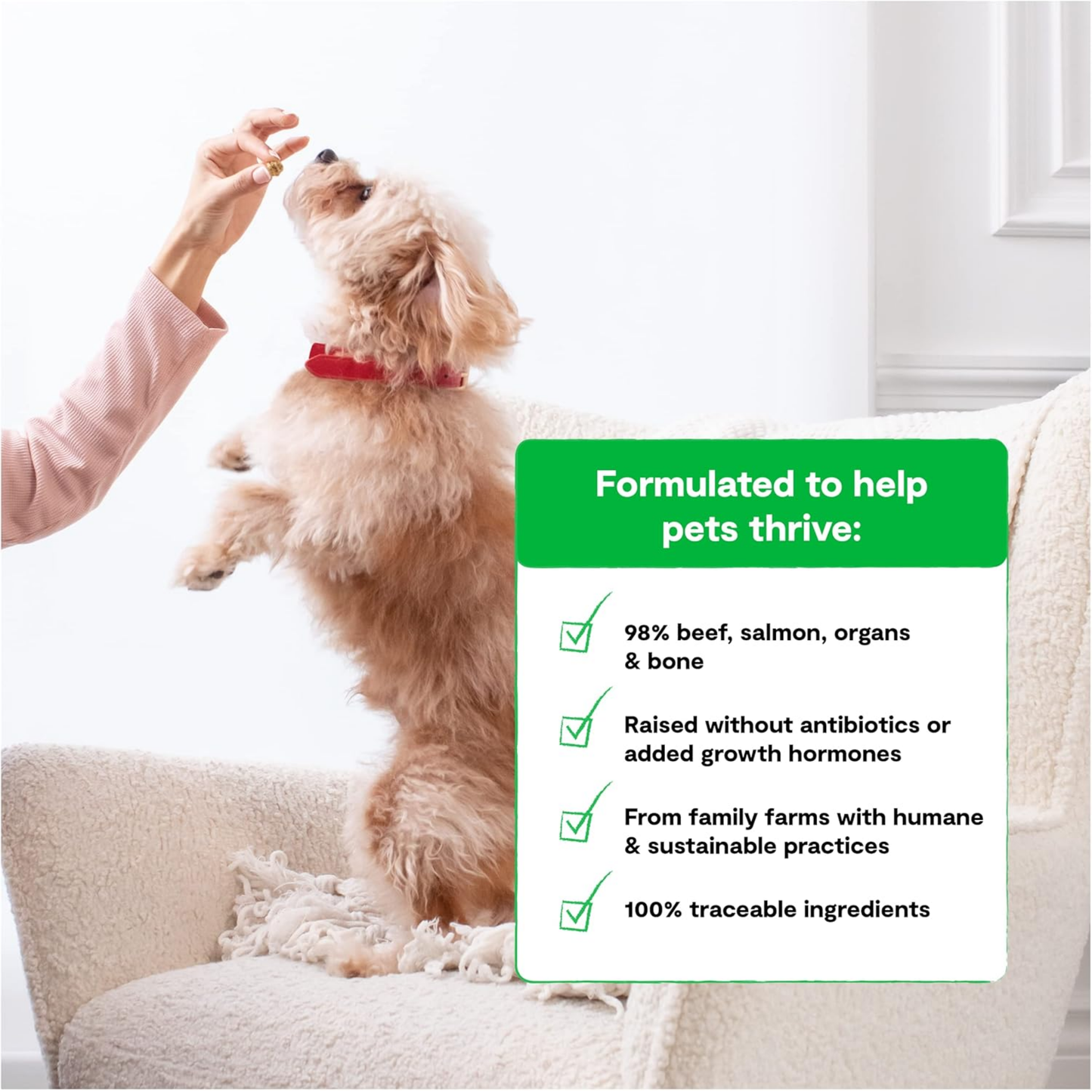 Open Farm Freeze-Dried Raw Dog Food – Surf & Turf Recipe, 22 oz | Humanely Raised Meat & Non-GMO Superfoods