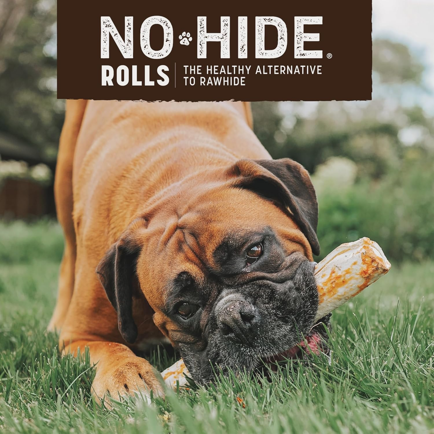 Earth Animal No-Hide Large Salmon Chews – Rawhide-Free Long-Lasting Dog Treats for Aggressive Chewers, 7 oz