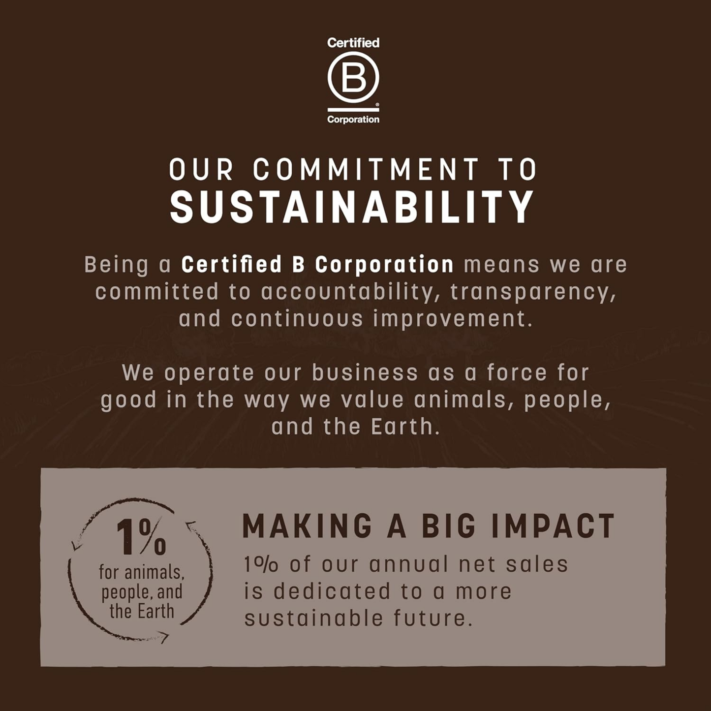 Earth Animal No-Hide Large Salmon Chews – Rawhide-Free Long-Lasting Dog Treats for Aggressive Chewers, 7 oz