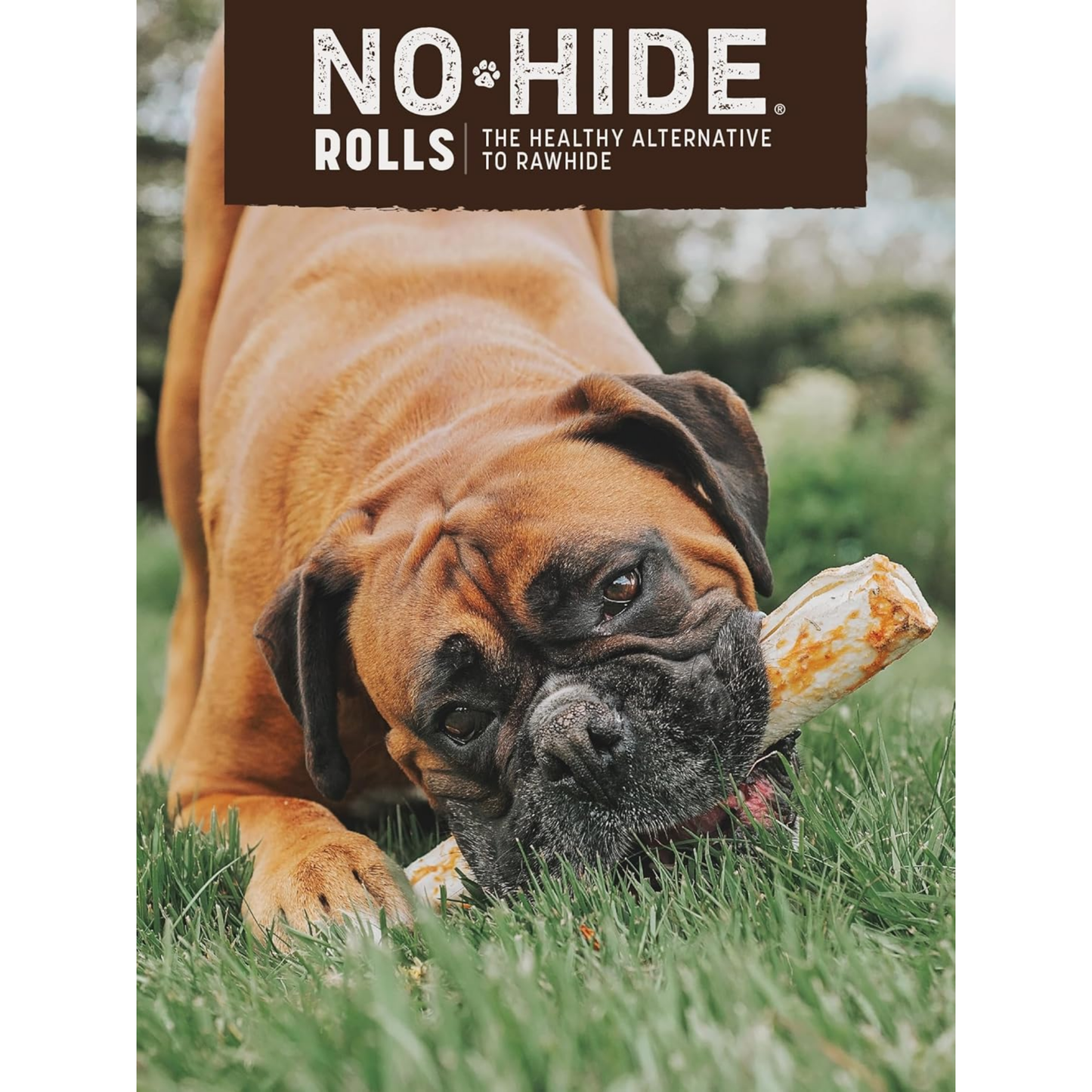 Earth Animal No-Hide Large Peanut Butter Chews – Rawhide-Free Long-Lasting Dog Treats for Aggressive Chewers, 7 oz