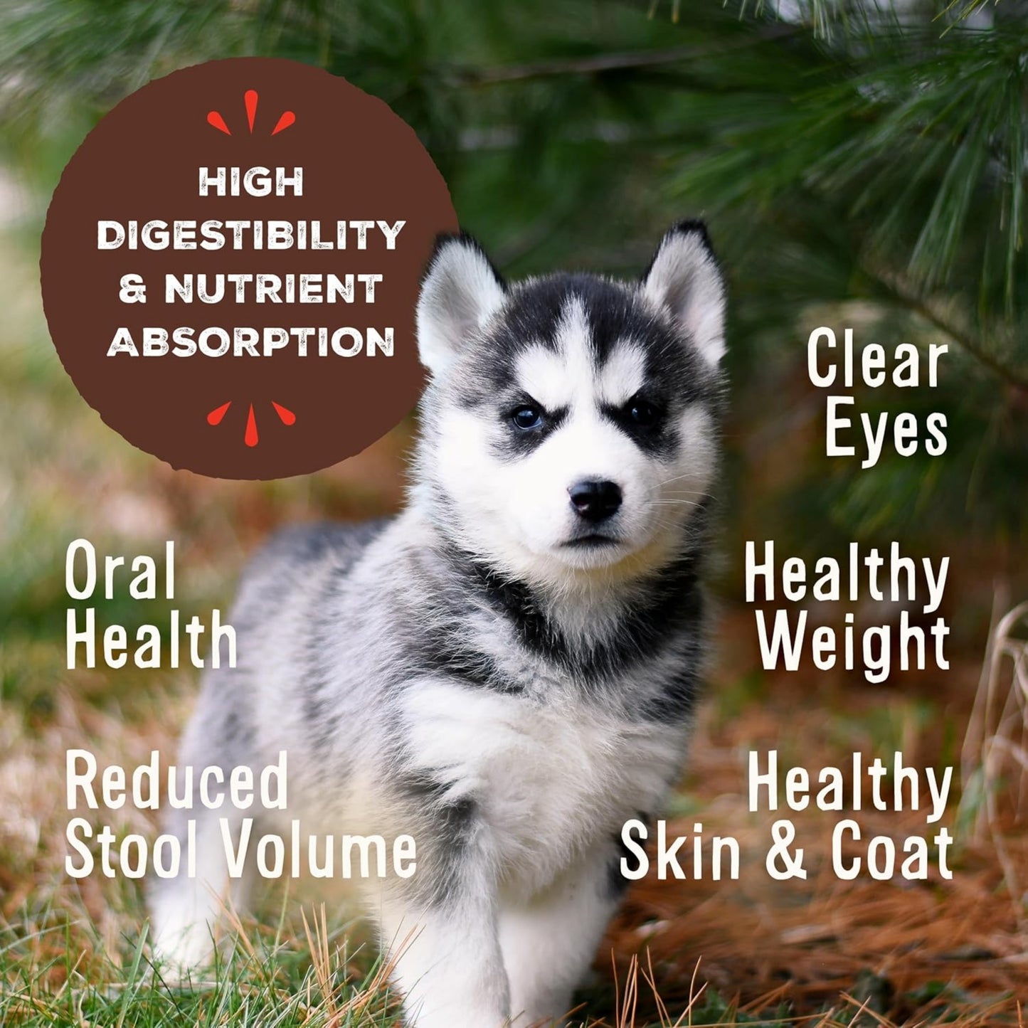 Primal Freeze-Dried Puppy Dog Food – Pronto Mini Nuggets Chicken & Salmon (25 oz, 2-Pack) | Grain-Free, High-Protein Meal, Topper & Treat