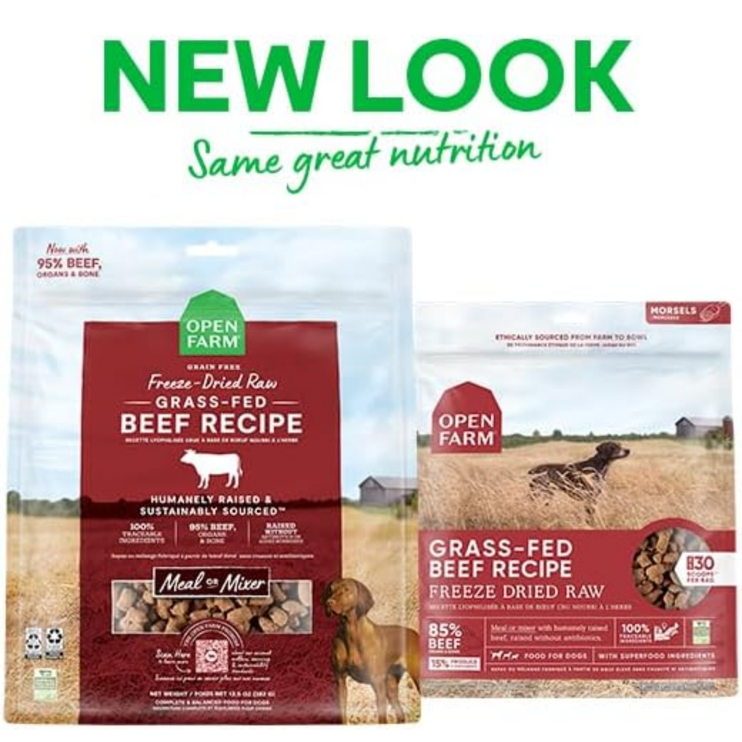 Open Farm Freeze-Dried Raw Dog Food – Grass-Fed Beef Recipe, 31.5 oz | Humanely Raised Meat & Non-GMO Superfoods