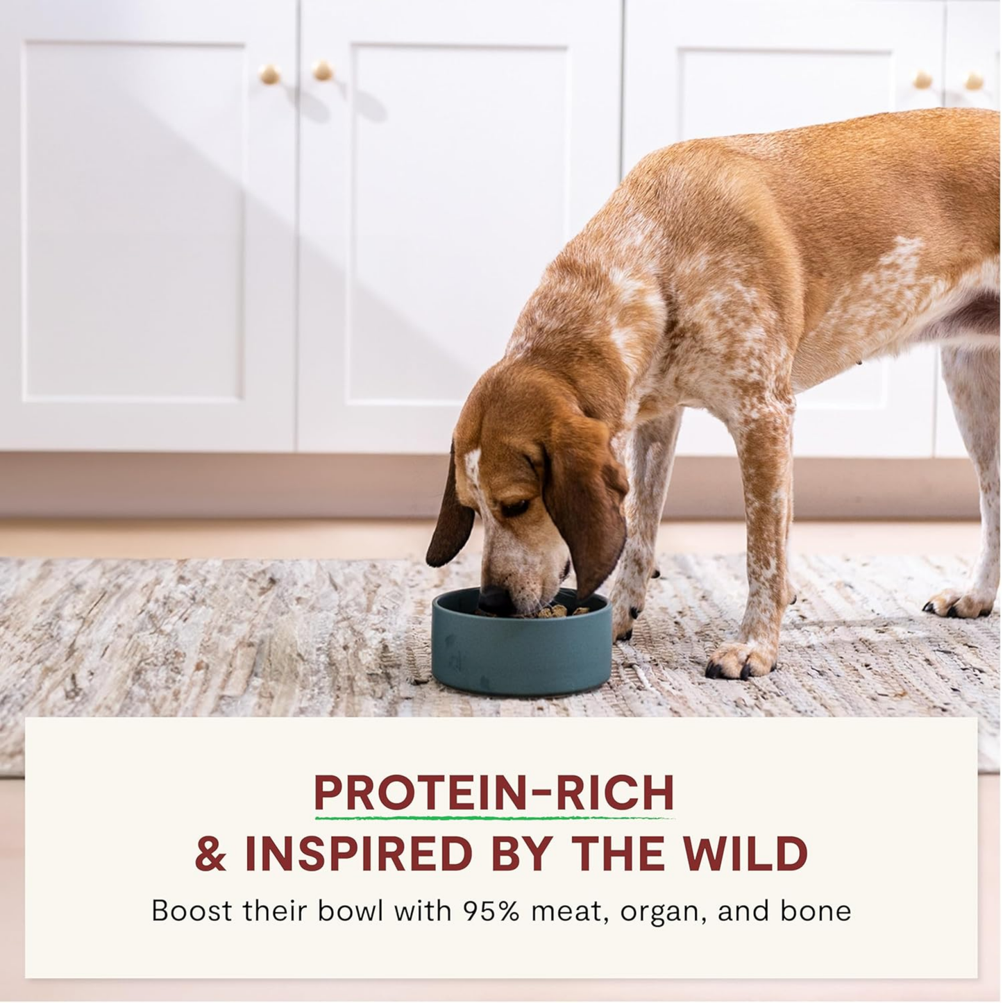 Open Farm RawMix Freeze-Dried Raw Morsels Dog Food Topper – Tide & Terrain Recipe, 13.5 oz | 95% Real Meat, Organs & Bones with Bone Broth