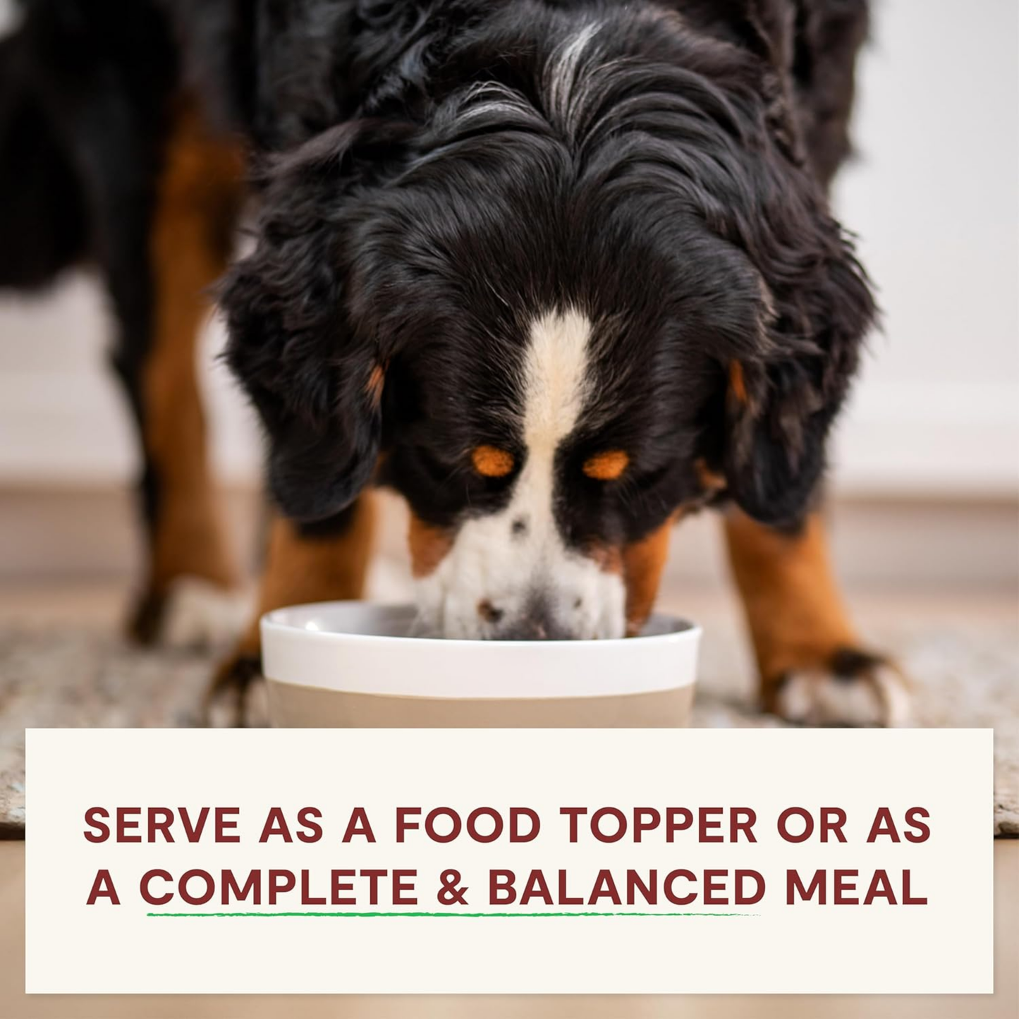 Open Farm RawMix Freeze-Dried Raw Morsels Dog Food Topper – Tide & Terrain Recipe, 13.5 oz | 95% Real Meat, Organs & Bones with Bone Broth