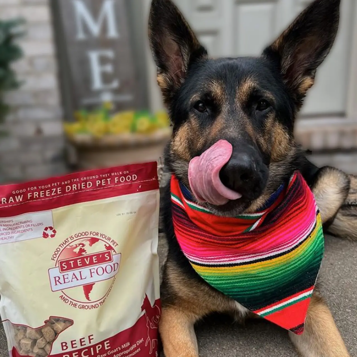 Steve’s Real Food Freeze-Dried Raw Pet Food – Beef Recipe, 2-Pack (1.25 lbs Each), for Dogs & Cats