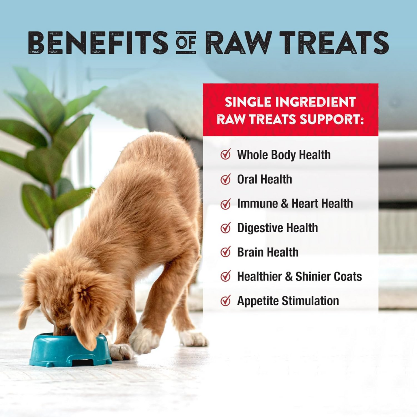 Northwest Naturals Raw Rewards Freeze-Dried Beef Liver Treats – 10 oz, for Dogs & Cats