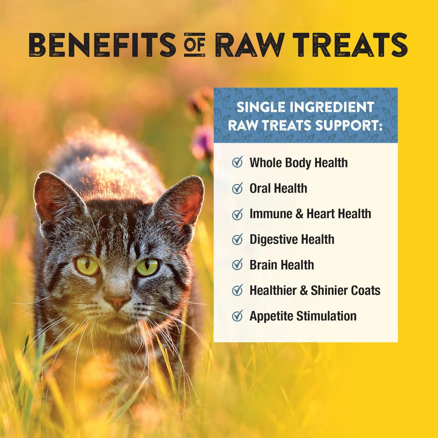 Northwest Naturals Raw Rewards Freeze-Dried Whitefish Treats – 10 oz (Pack of 3), for Dogs & Cats